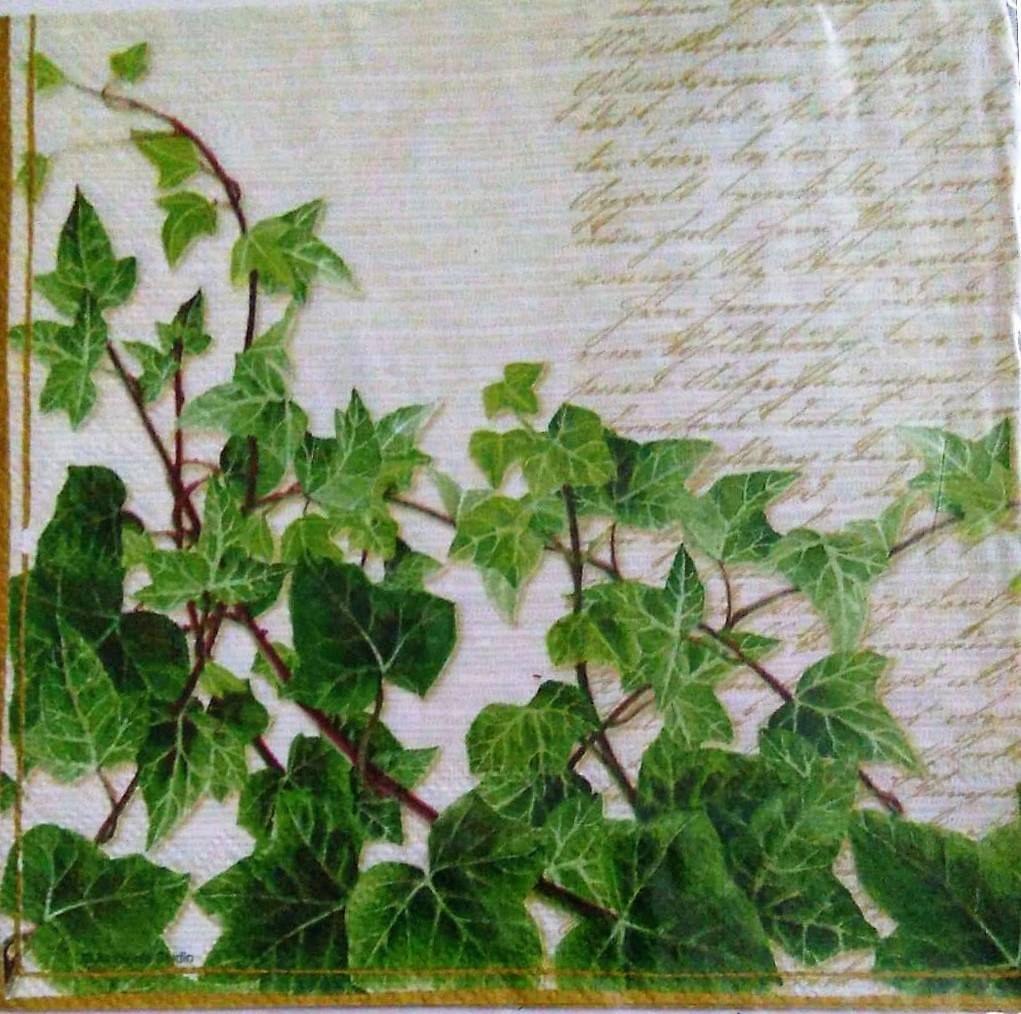 Decoupage Napkin / Tissue papers - 33cm by 33cm - Green climbers