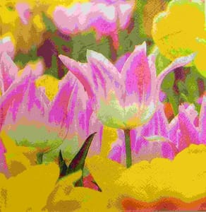 Decoupage Napkin / Tissue papers - LGT1850