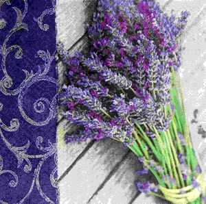 Decoupage Napkin / Tissue papers - DGT1878