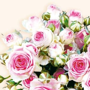 Decoupage Napkin / Tissue papers - 33cm by 33cm - GT3280