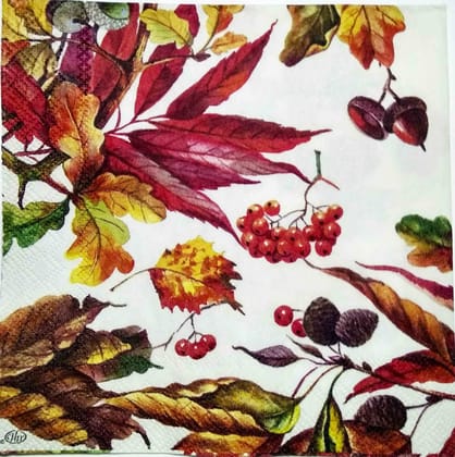 Decoupage Napkin / Tissue papers - 25cm*25cm - GT3207