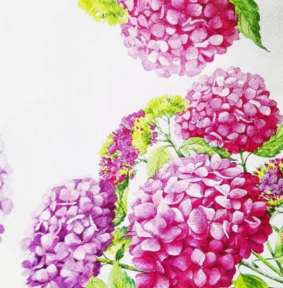 Decoupage Napkin / Tissue papers - 33cm by 33cm - GT1059