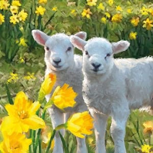 Decoupage Napkin / Tissue papers - 33cm by 33cm - GT3260