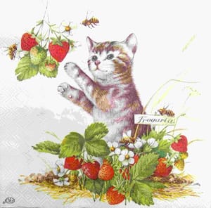 Decoupage Napkin / Tissue papers - GT1809