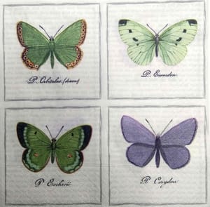 Decoupage Napkin / Tissue papers - GT2023