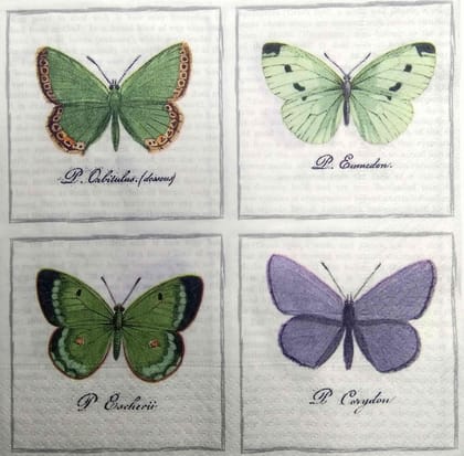 Decoupage Napkin / Tissue papers - GT2023