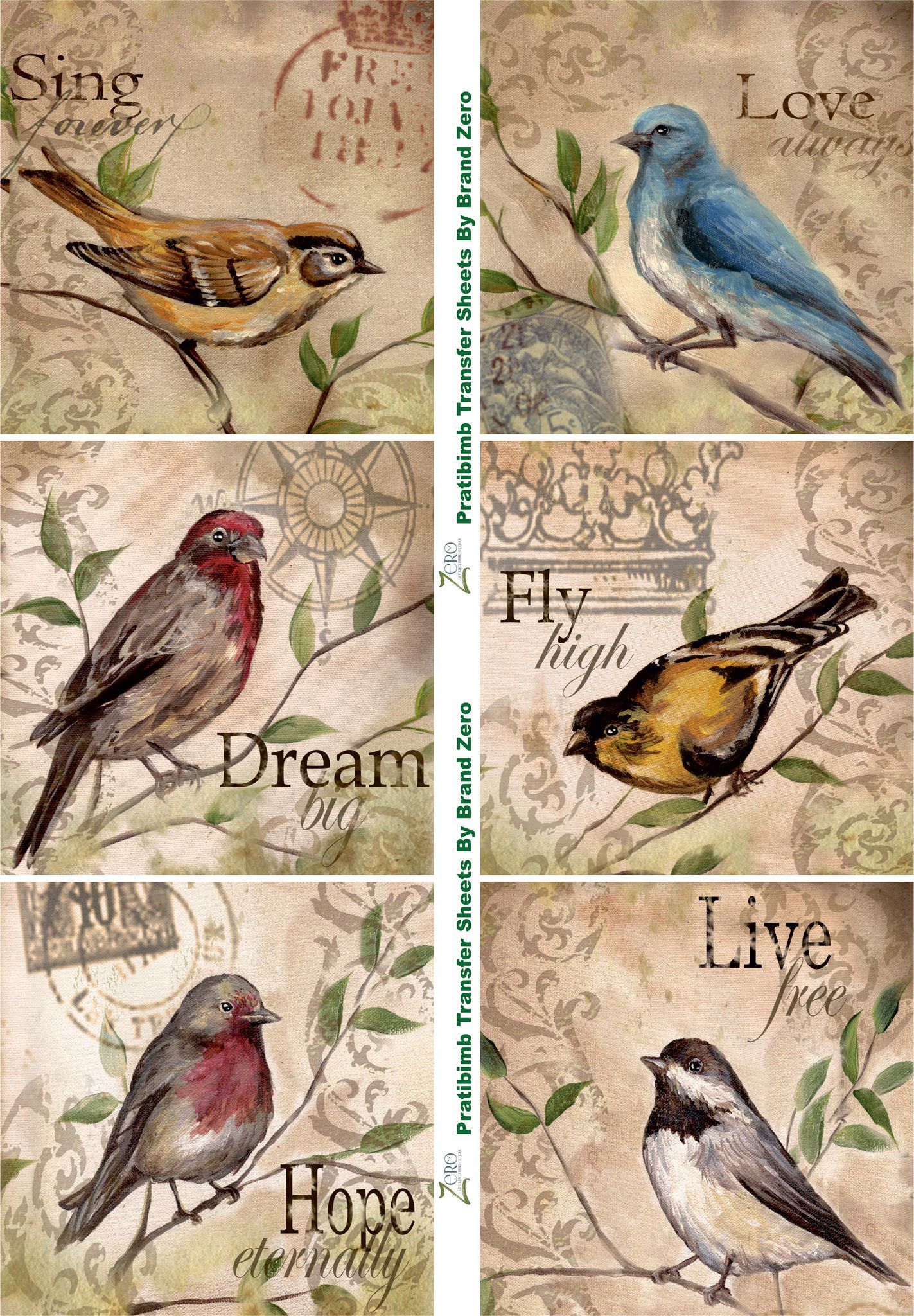 Brand Zero Pratibimb Transfer Sheets - Birdies