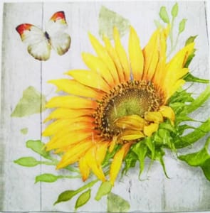 Decoupage Napkin / Tissue papers - 33cm by 33cm - GT1279