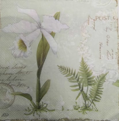 Decoupage Napkin / Tissue papers - GT1923