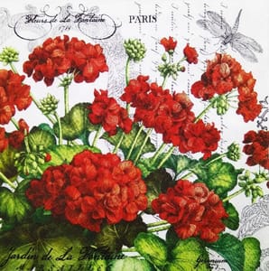 Decoupage Napkin / Tissue papers - 33cm by 33cm - GT1057