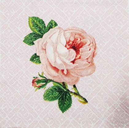 Decoupage Napkin / Tissue papers - GT1511 Decoupage Napkin / Tissue papers - GT1511