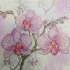 Decoupage Napkin / Tissue papers - GT1959