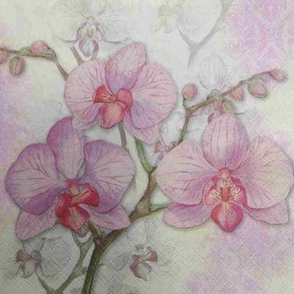 Decoupage Napkin / Tissue papers - GT1959