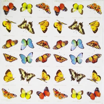 Decoupage Napkin / Tissue papers - 33cm by 33cm - GT1102