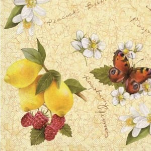 Decoupage Napkin / Tissue papers - GT3513 Decoupage Napkin / Tissue papers - GT3513
