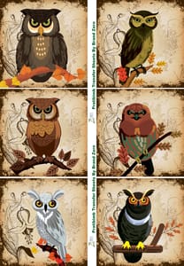 Brand Zero Pratibimb Transfer Sheets - Birds All Around 2