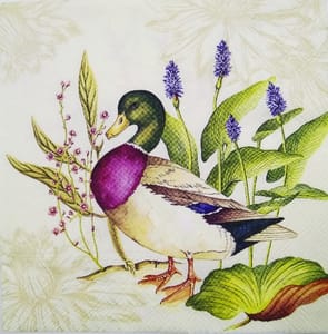 Decoupage Napkin / Tissue papers - GT1612