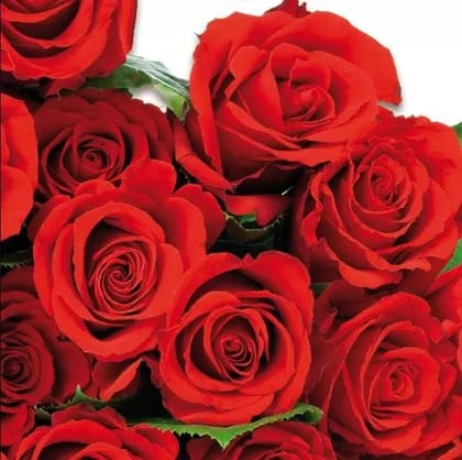 Decoupage Napkin / Tissue papers - GT2815