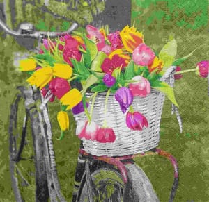 Decoupage Napkin / Tissue papers - GT1762