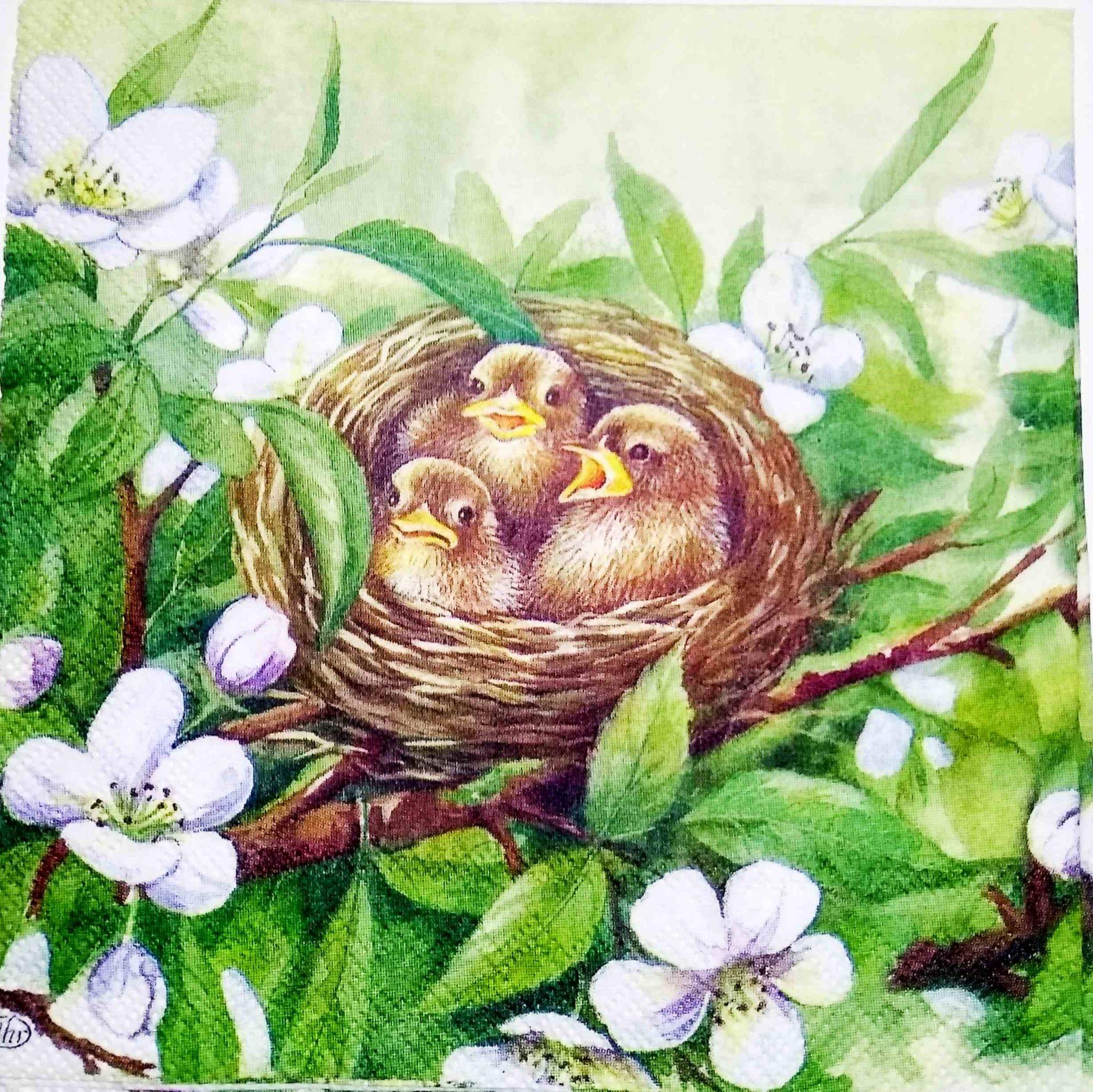 Decoupage Napkin / Tissue papers - 25cm*25cm - GT3174