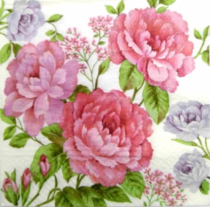 Decoupage Napkin / Tissue papers - DGT1900