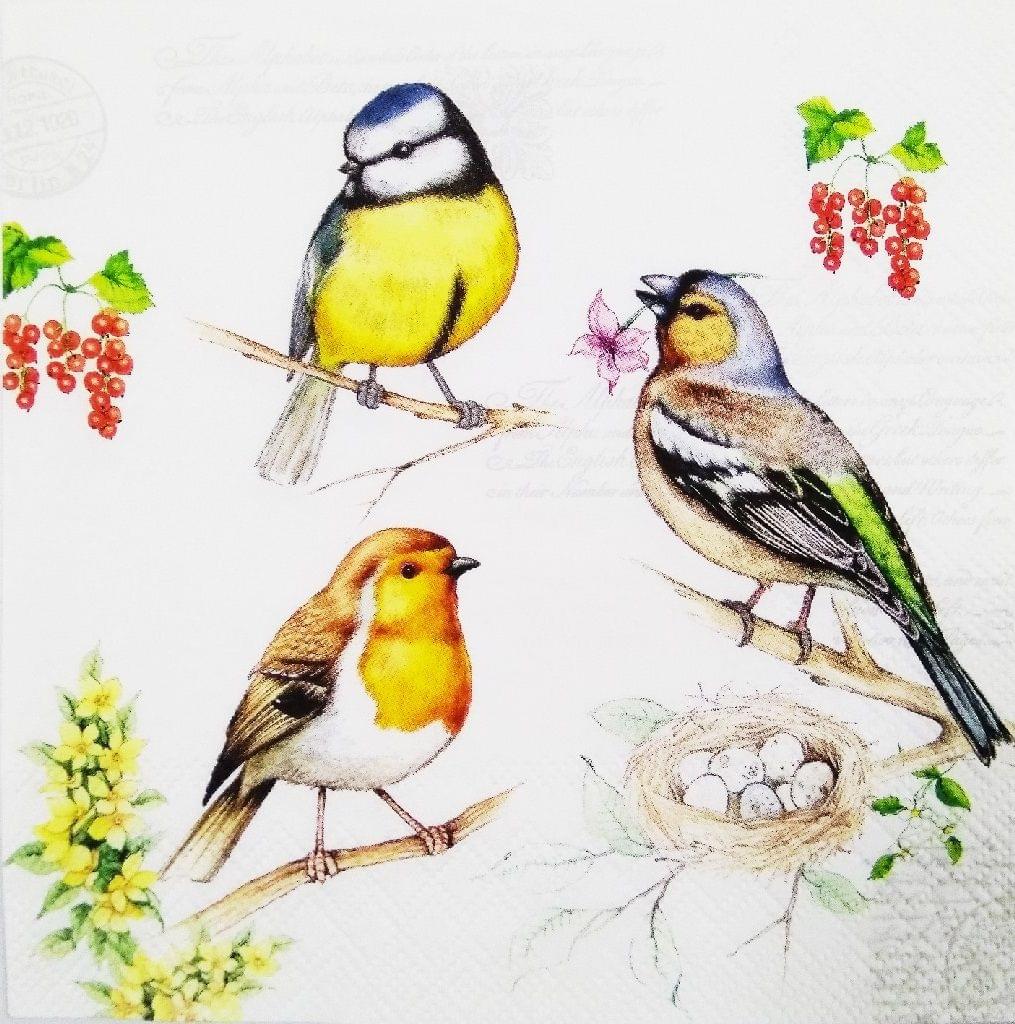 Decoupage Napkin / Tissue papers - 33cm by 33cm - GT1106