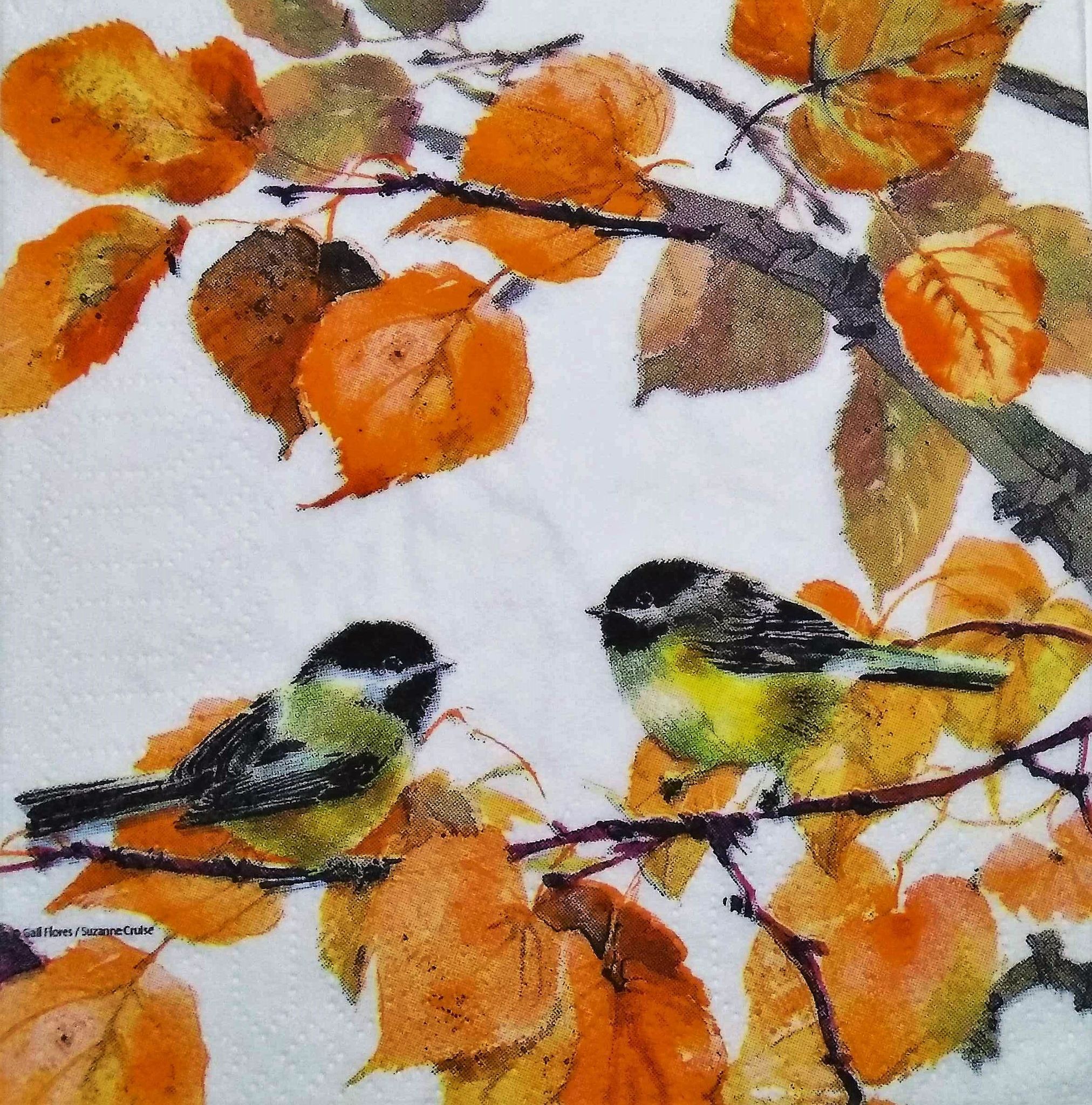 Decoupage Napkin / Tissue papers - 33cm by 33cm - GT1201