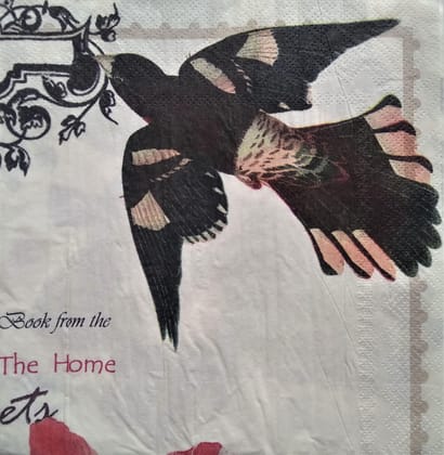 Decoupage Napkin / Tissue papers - GT2197