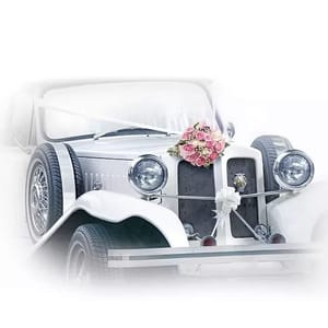 Decoupage Napkin / Tissue papers - GT2022