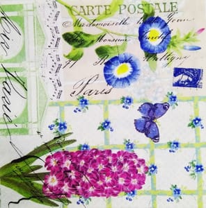 Decoupage Napkin / Tissue papers - GT1018