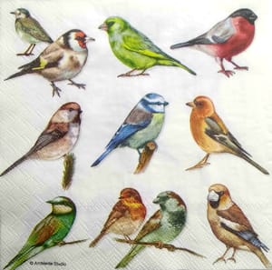 Decoupage Napkin / Tissue papers - GT2124