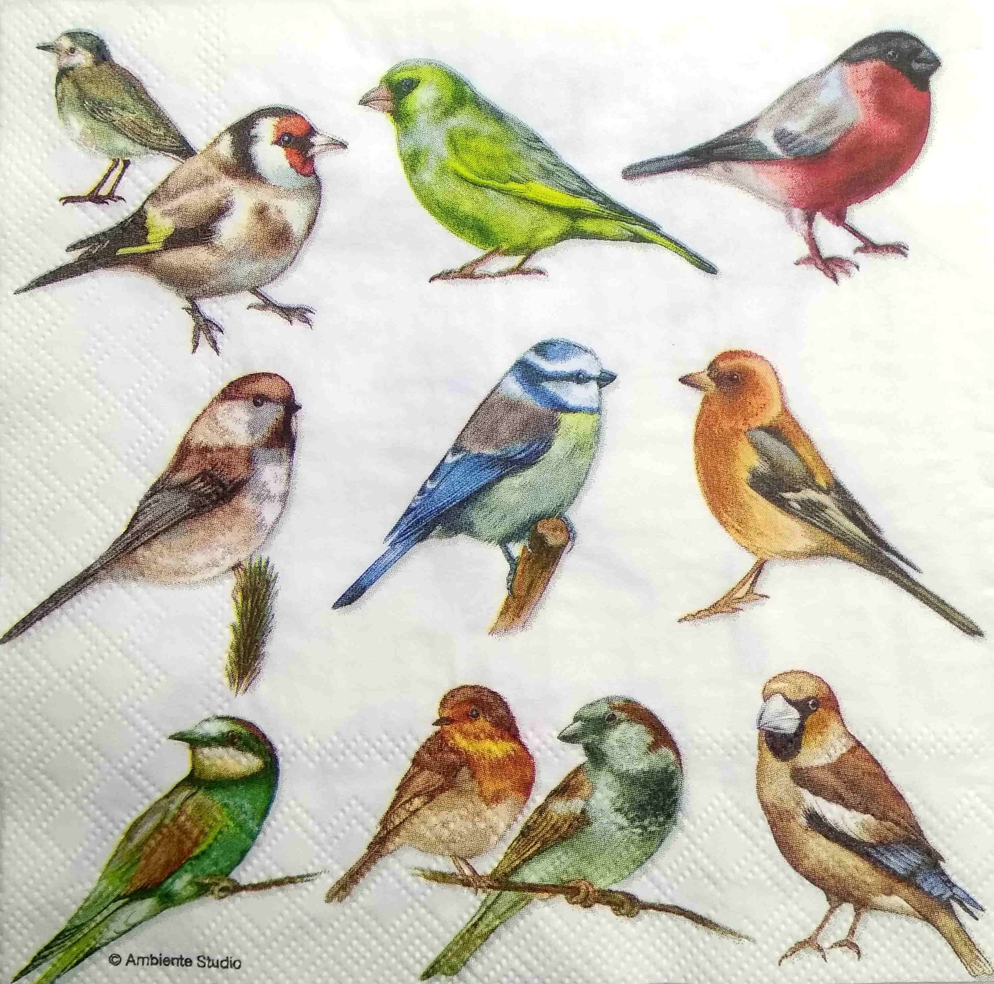 Decoupage Napkin / Tissue papers - GT2124