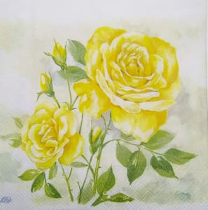 Decoupage Napkin / Tissue papers - 25cm*25cm - GT3228