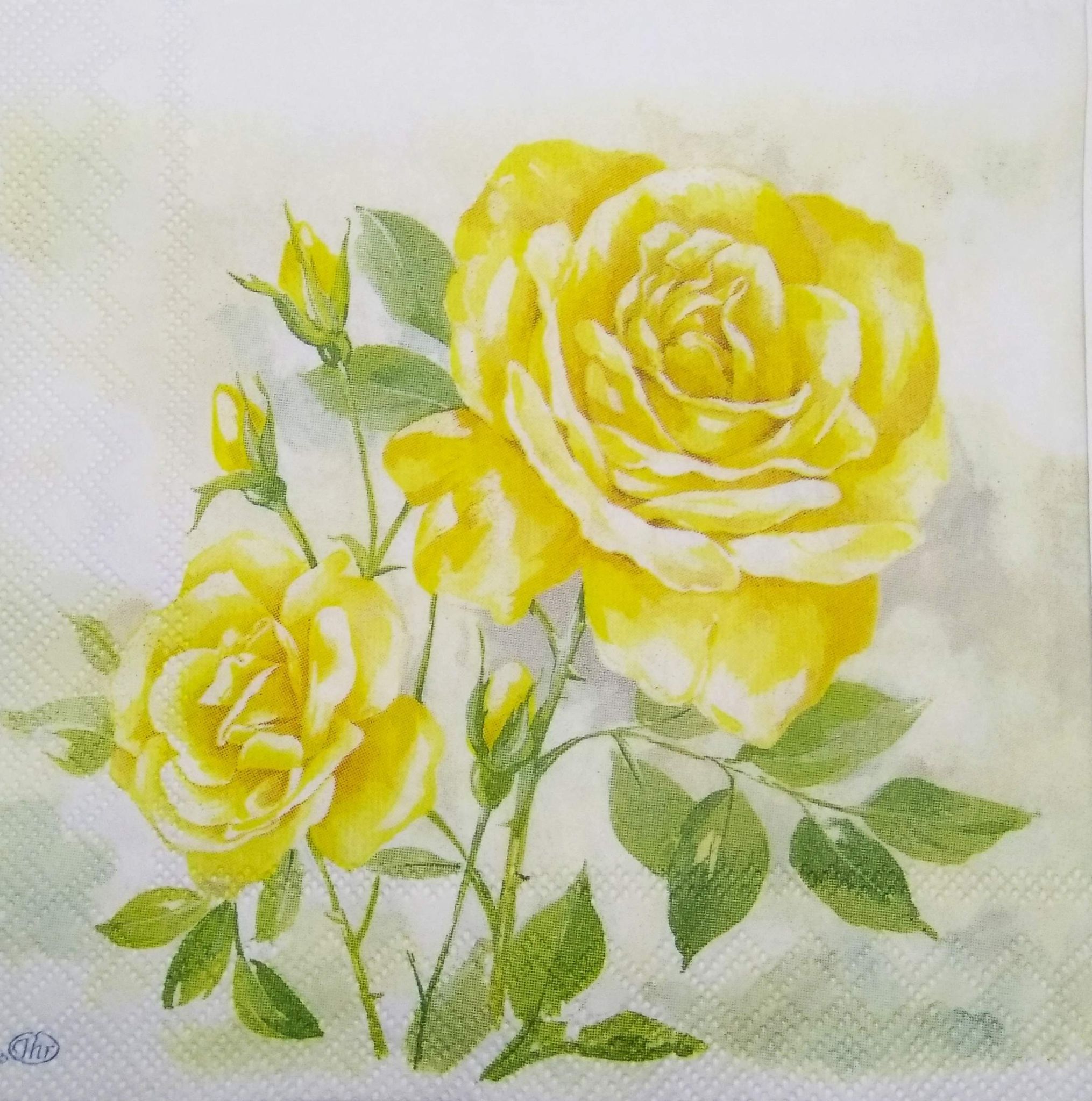 Decoupage Napkin / Tissue papers - 25cm*25cm - GT3228